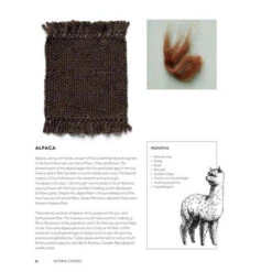 Weaving Big On A Little Loom -Sewing Textile Store B9781648961229c 30667.1651673752