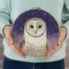 Painting With Wool Needle Felting Kit - Dani Ives' Barn Owl -Sewing Textile Store FSS KIT11 53471.1697292490