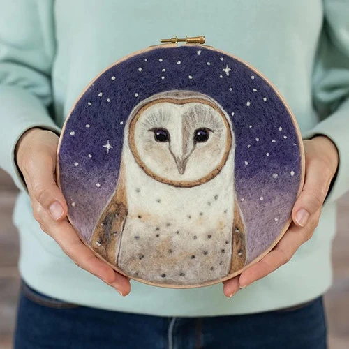 Painting with Wool Needle Felting Kit - Dani Ives' Barn Owl Painting With Wool Needle Felting Kit - Dani Ives' Barn Owl -Sewing Textile Store FSS KIT11 53471.1697292490