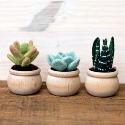Sculpting With Wool Needle Felting Kit - Succulents
