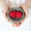 Sculpting With Wool Needle Felting Kit - Love Nest -Sewing Textile Store FSS SWW 21b 61365.1697298039