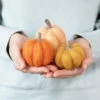 Sculpting With Wool Needle Felting Kit - Pumpkin Trio -Sewing Textile Store FSS SWW 26 95754.1697298370