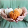 Needle Felting Pumpkins Kit 2 Needle Felting Pumpkins Kit -Sewing Textile Store GFF 011 90368.1673887736