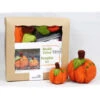 Kromski Needle Felting Kit - Pumpkin -Sewing Textile Store KRO PUMPKKITb 58737.1567604633