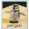 WoolPets Needle Felting Kit - Penguin -Sewing Textile Store Penguin Needle Felting Kit 3 67907.1557241538