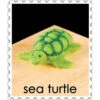 WoolPets Needle Felting Kit - Sea Turtle 2 WoolPets Needle Felting Kit - Sea Turtle -Sewing Textile Store Sea Turtle Needle Felting Kit 3 92650.1557240954