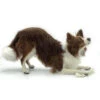 World Of Wool Artisan Felting Kit - Benji The Border Collie 2 World Of Wool Artisan Felting Kit - Benji The Border Collie -Sewing Textile Store WOW ABNFK 11492.1641837378