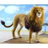 World Of Wool Felting Kit - Lewie The Lion -Sewing Textile Store WOW LNFK 16147.1556714807