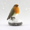 World Of Wool Felting Kit - Robyn The Robin